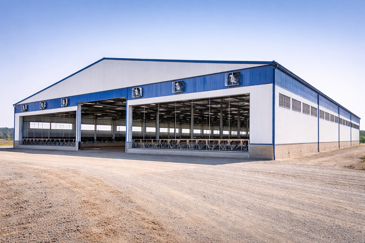 dairy farm shed design